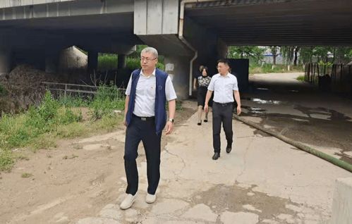 网络安全顾问眼中的安全软件——真人德州最新版本，系统化推进策略研讨_经典款_v9.913深度解析