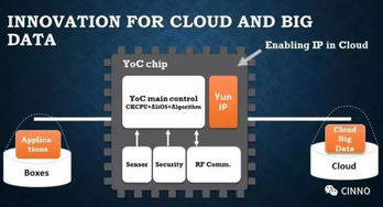 兔区官方下载,数据执行驱动决策|Tablet_v1.400
