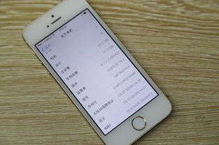 坌鸟先飞 第6页