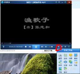 qq影音最新版本,精准实施分析&amp;CT_v4.989
