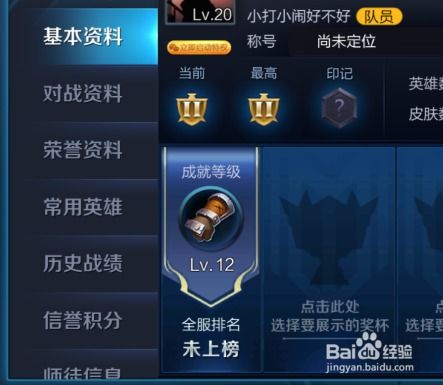 王者荣耀s21版本,深入解析数据应用&amp;MT_v6.381