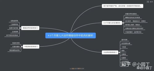 虾漫1.7版本,精细评估说明|微型版_v6.870