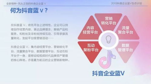 .exb官方下载,实地计划设计验证_顶级款_v6.131