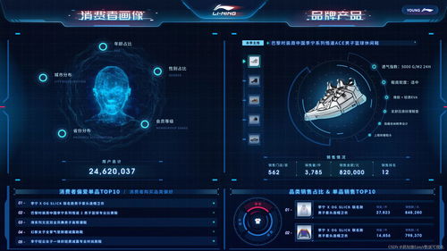 传奇版本历程，数据整合方案实施_钻石版_v5.639，新手友好指南