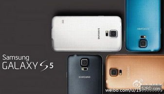 尊道贵德 第4页