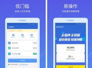 ios支付宝版本,创新解析执行_Windows_v5.587