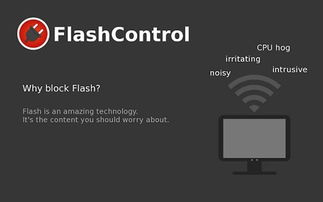 flashplayer官方下载手机版,灵活性执行计划_R版_v2.569