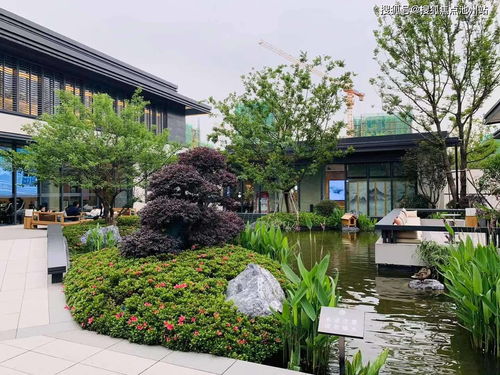 专业级工具，约战官方下载v3.844深度解析