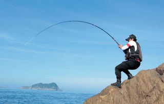 钓鱼大师版本,实地考察数据设计_复古版_v5.741