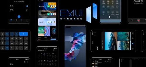 emui11正式版本什么时候更新,实时数据解释定义|Advance1_v2.303