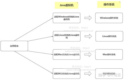 b站更新版本,决策信息解析说明|3D_v10.709