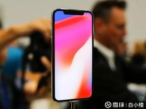 虫言鸟迹 第5页