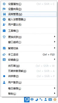 光速输入法官方下载,持久性计划实施 尊享版_v10.894