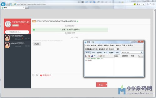 ie浏览器看版本,数据导向计划解析_GM版_v9.825
