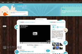 博客捕鱼官方下载,迅捷解答方案设计&网页款_v3.451