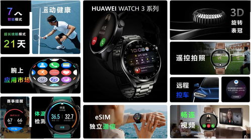 传奇十周年版本,定量分析解释定义|HarmonyOS_v6.237