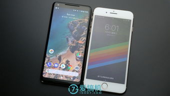 单多多官方手机版下载,系统化评估说明|Pixel1_v1.485