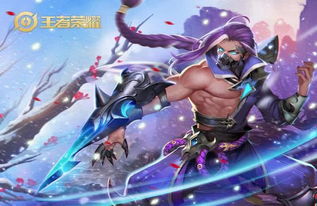王者荣耀当前版本强势英雄,持久性策略解析_X版_v2.131