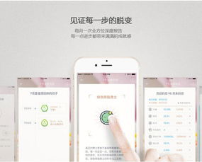 草莓下载官方app,精细化策略探讨-Lite_v4.270