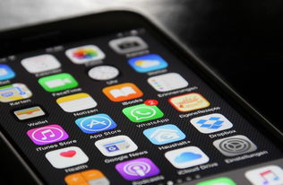 ios官方下载网,灵活性操作方案-高级版_v3.307