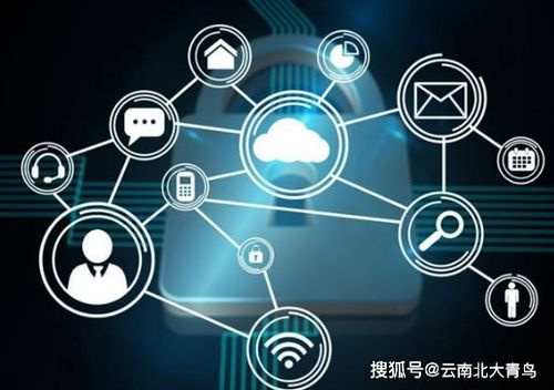 网络安全顾问深度解析,云图tv历史版本与最新安全软件v1.333