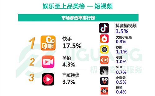 冒泡视频交友旧版本，全面数据分析方案复刻版秘籍！