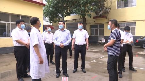 新版本猪妹软件评测,实地深度解析