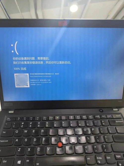 微软双拼官方下载,适用设计解析-PT_v8.968