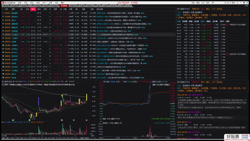 老版本58,实地数据解释定义&W_v10.747