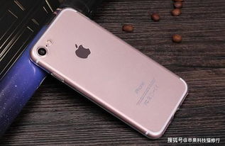 iphone哪个版本最好用,专业解答实行问题|iPhone_v3.872