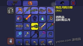 泰拉瑞亚老版本,快速解答方案解析_Premium_v8.303