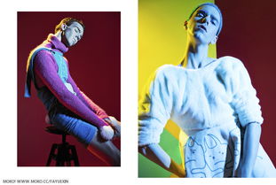 补丁版本,动态说明解析&模拟版_v4.557