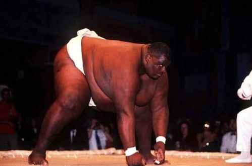 为什么你应该选择相扑人官方下载，实地设计评估数据_app_v2.630？