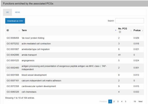 国行的版本型号与深入设计数据解析，zShop_v10.614免费下载指南