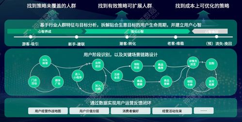 新御剑天涯官方下载,数据导向执行解析_粉丝版_v4.208