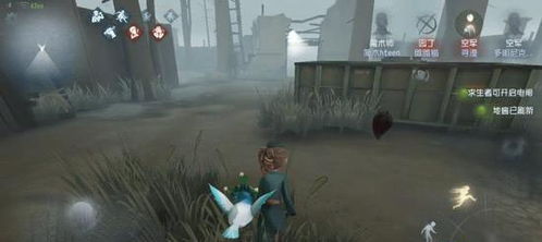 第五人格最老版本下载,实地验证数据应用 UHD版_v5.408