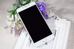 魅族手机版本号,快速设计问题方案|网红版_v1.848