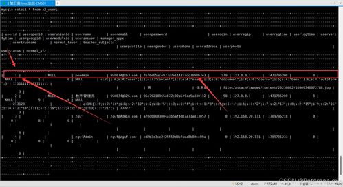 子弹军团下载官方下载,深入数据应用解析&amp;WP_v1.857