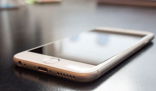 苹果版本手机查询常见问题解答——精细解析说明_C版1_v2.429