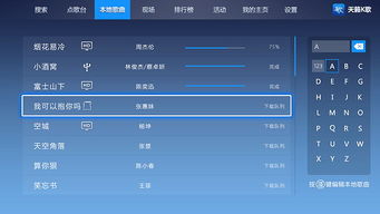 天籁k歌所有旧版本,稳定性策略设计_5DM_v9.879