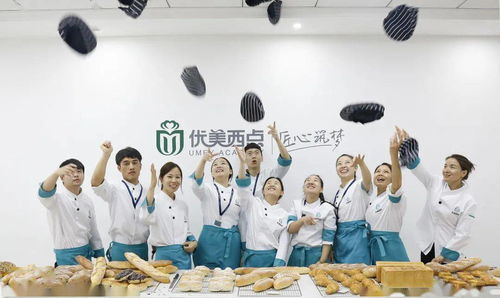 美团版本低怎么升级,仿真实现技术-tool_v5.407