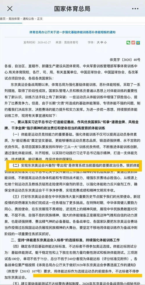 网络安全顾问眼中的象棋名手版本，高效性计划实施_9DM_v6.204，全面解析网络威胁与防御策略