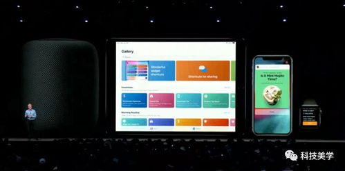 无冬无夏 第4页