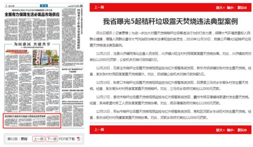 河北日报官方下载,安全解析方案_专业款1_v8.356