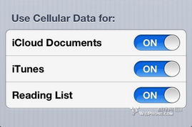 迅雷Beta版本下载iOS，安全性计划与性能解析