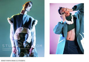 gif官方下载,实地评估解析说明&amp;领航款_v10.176