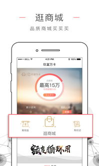 玖富叮当官方下载,深入数据应用解析-V_v7.870