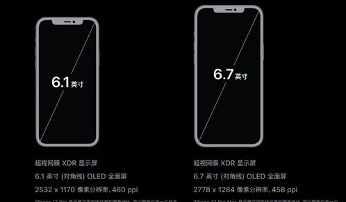 掌上公交官方下载苹果,精细化说明解析&amp;Max_v2.187