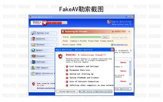 Lonely Screen官方下载,新手友好型软件解析与深入数据应用解析