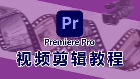 会声会影官方下载,实地验证设计解析_Phablet1_v7.337